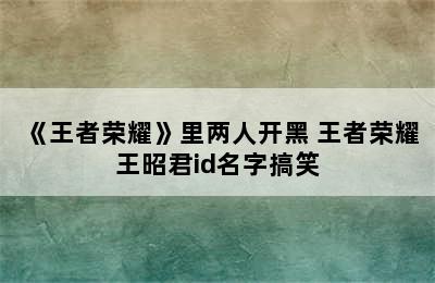 《王者荣耀》里两人开黑 王者荣耀王昭君id名字搞笑